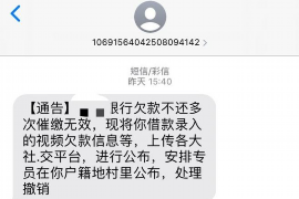 黔东南为什么选择专业追讨公司来处理您的债务纠纷？